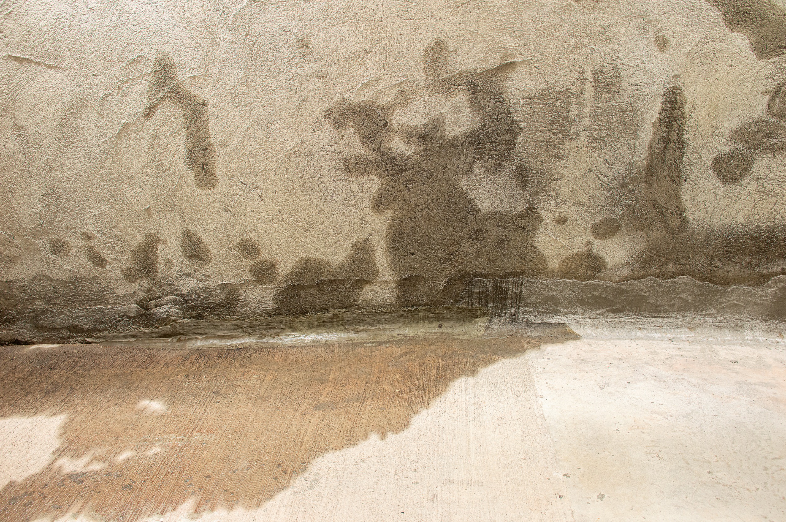 water leak in basement