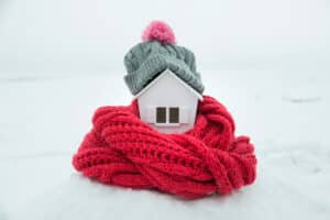 house wearing a knitted hat and wrapped in a scarf