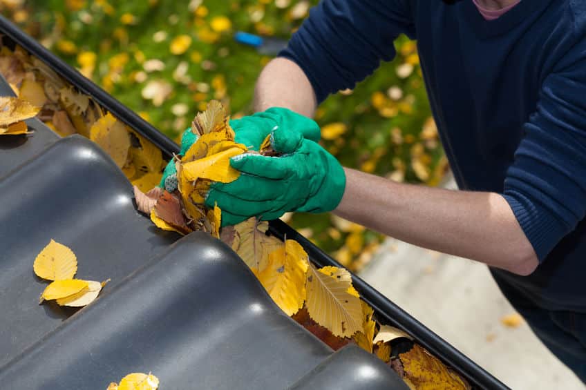 homeowner cleaning the gutter