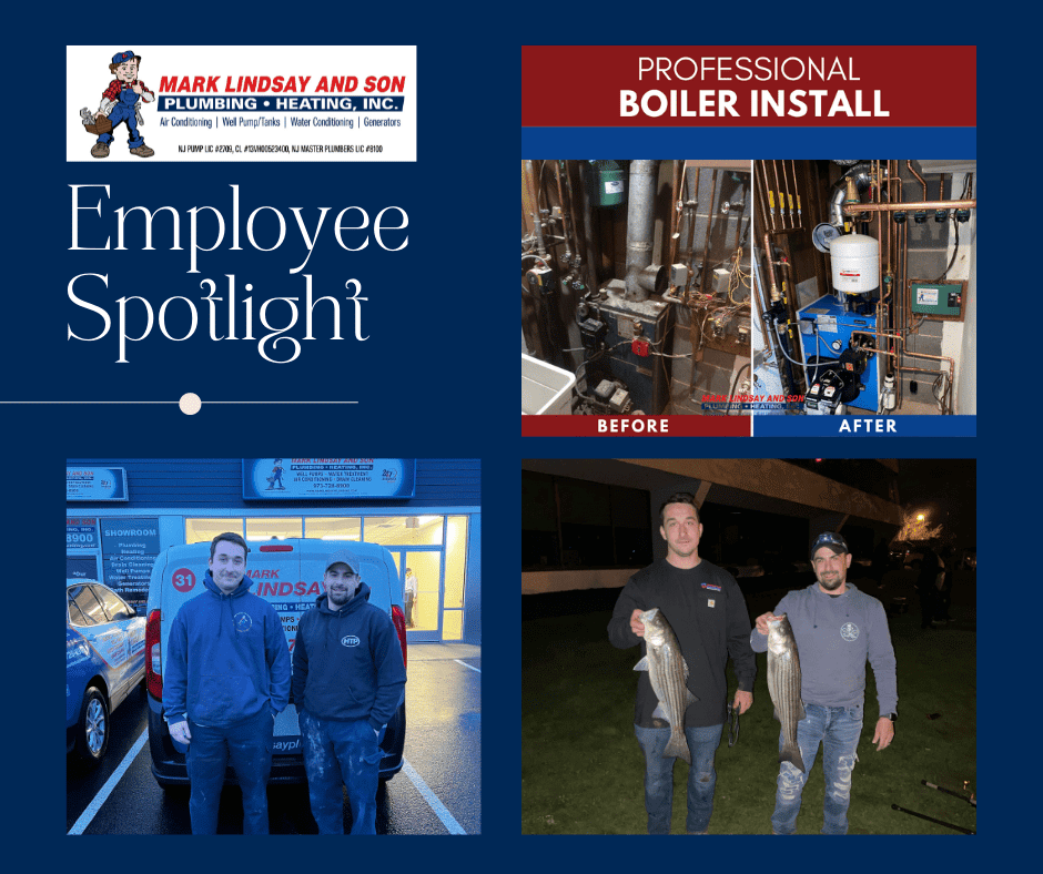 MLP february 2022 employee spotlight